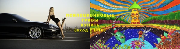 таблы Заводоуковск
