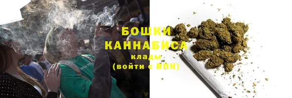 Альфа ПВП Ельня