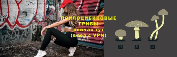 Альфа ПВП Ельня