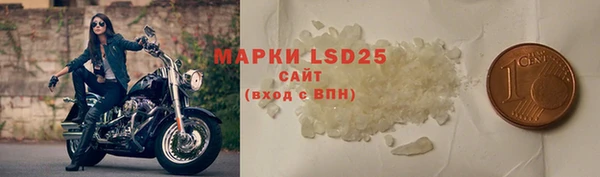 шишки Елабуга