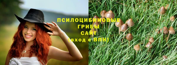 герыч Елизово