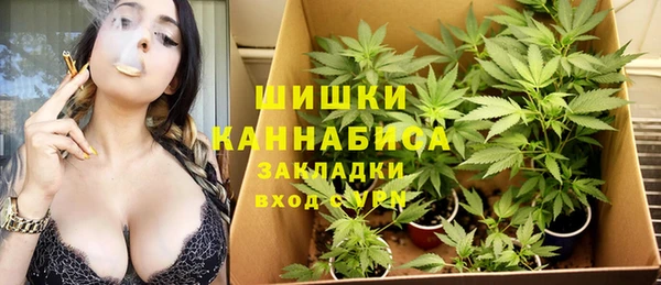 шишки Елабуга