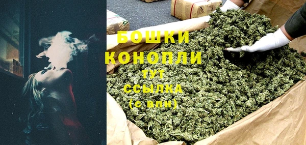 шишки Елабуга