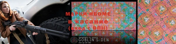 шишки Елабуга