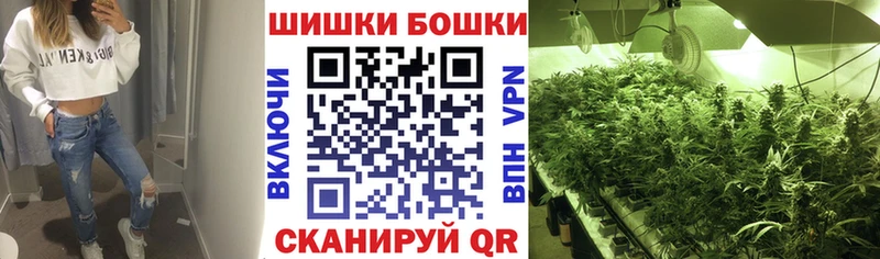 Купить закладки  Нефтегорск  Конопля SATIVA & INDICA 